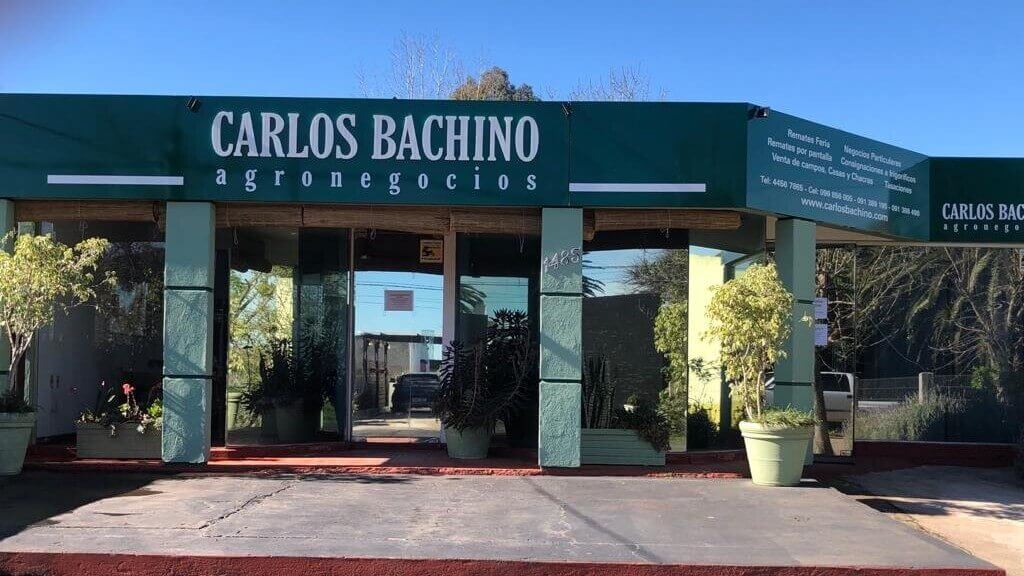 Local Carlos Bachino
